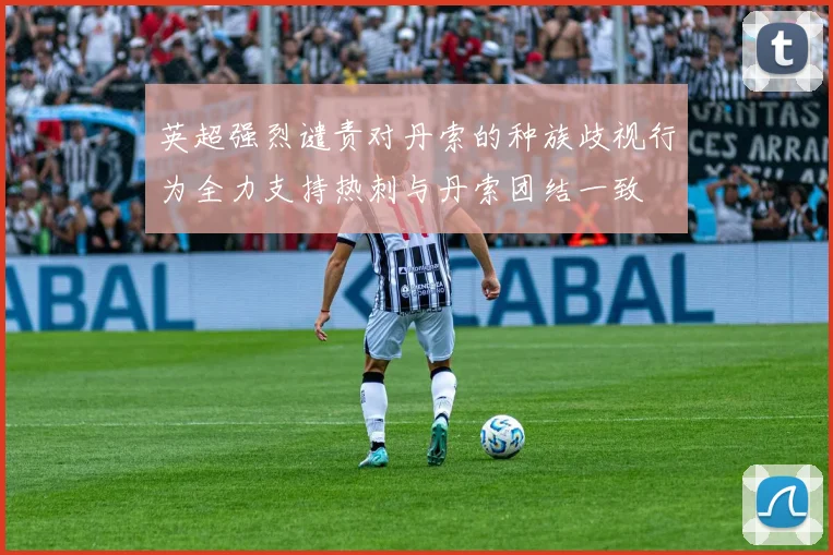 英超强烈谴责对丹索的种族歧视行为全力支持热刺与丹索团结一致