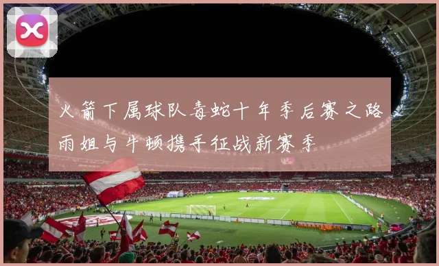 火箭下属球队毒蛇十年季后赛之路雨姐与牛顿携手征战新赛季
