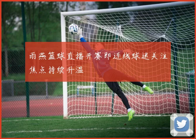 雨燕篮球直播开赛即连线球迷关注焦点持续升温