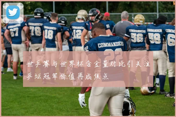 世乒赛与世界杯含金量对比引关注乒坛冠军价值再成焦点