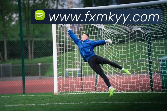 米兰app中国区官网APP 高清赛事图